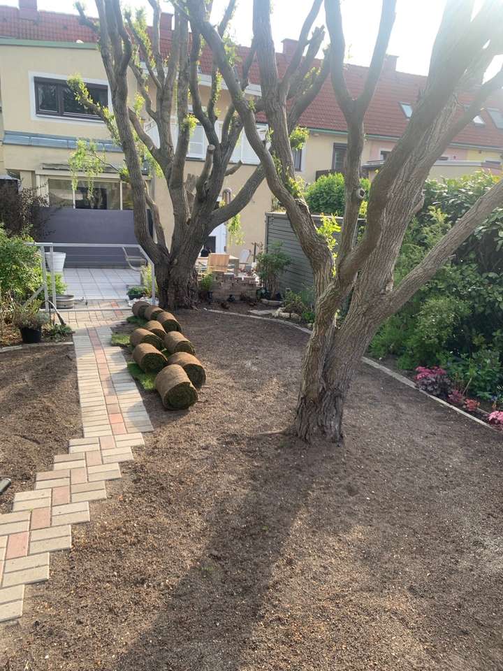 Rollrasen auf einer Hälfte