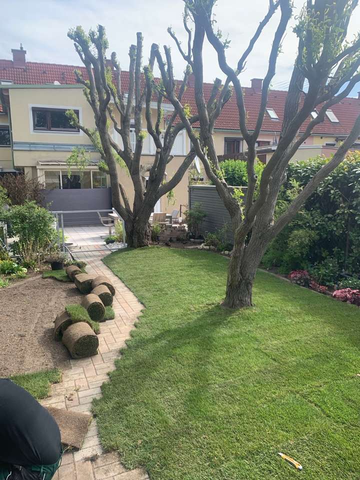 Rollrasen auf der anderen Hälfte