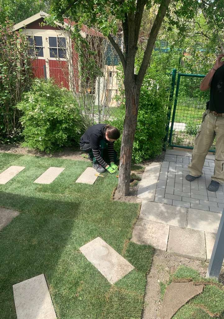 Finishing des Rollrasen